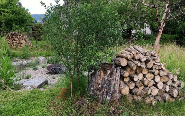 Naturnahe Aufwertung an der Oberhardstrasse